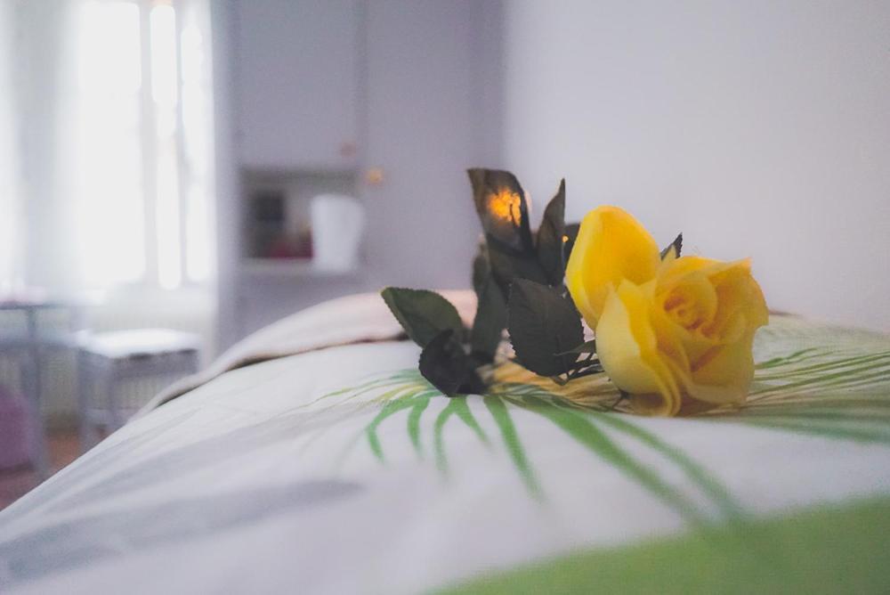 Dreierzimmer Därligen Kültér fotó